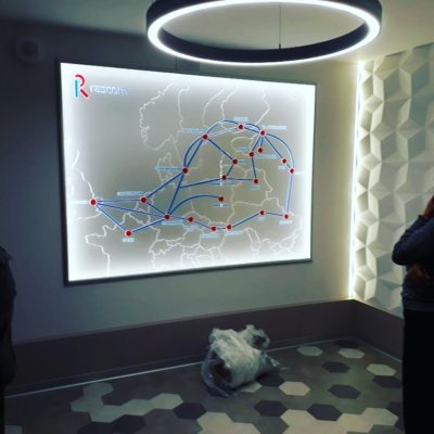 Интерьерное световое панно "Раском"